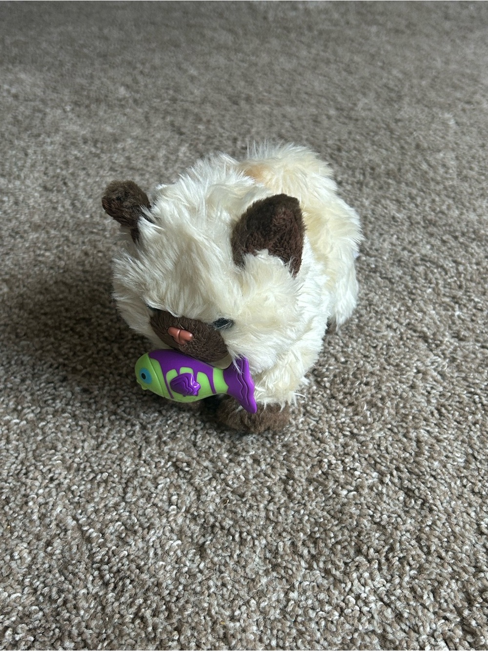 American Girl doll Himalayan Kitten Retired